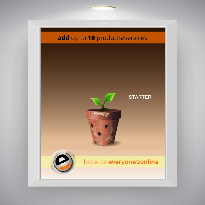 zonline Starter Vendor Subscription Package zonline Starter Vendor Subscription Package