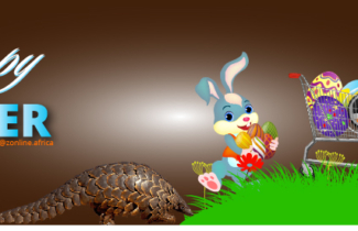 Easter Bunny Facts