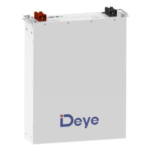 DeYE Lithium Ion Battery