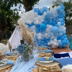 balloon wall harare the party company