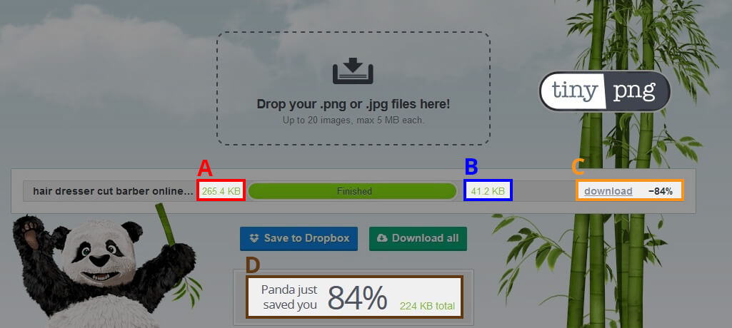 image guidelines online ecommerce shopping zonline tinypng