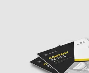 Business Profile Design Services