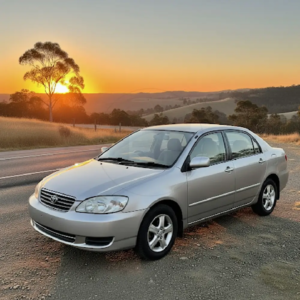 Toyota Runx Alex Bubble Radiator - ZZE12 -AT