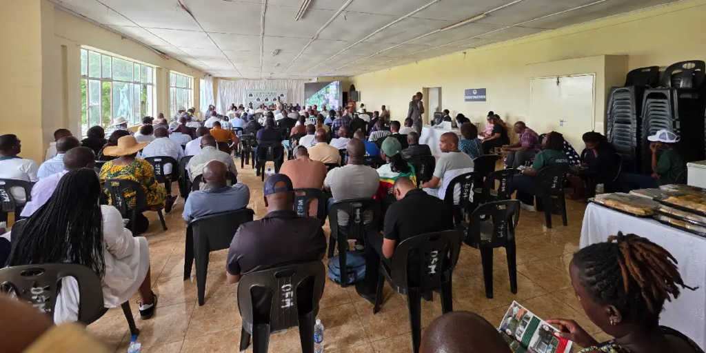 Sheriff’s Auction 2026 Graham & Douglas Real Estate