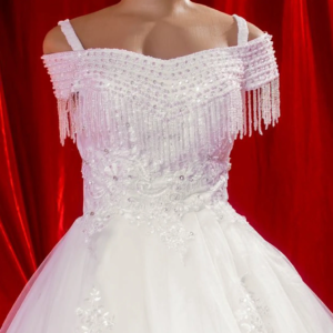 Short Sleeve Wedding Gown SBCWG02 closeup
